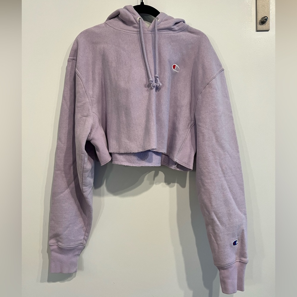 Champion cropped sweater